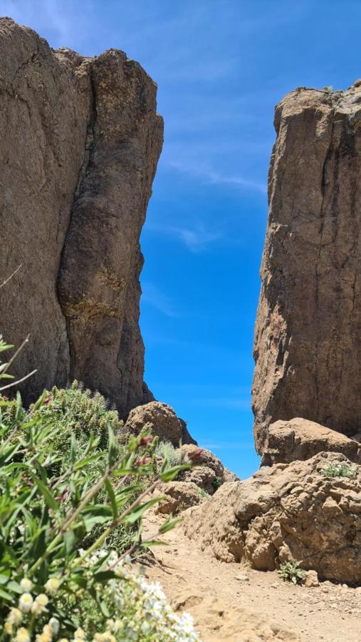 Puerto Rico Top Teide And Amadores View מראה חיצוני תמונה