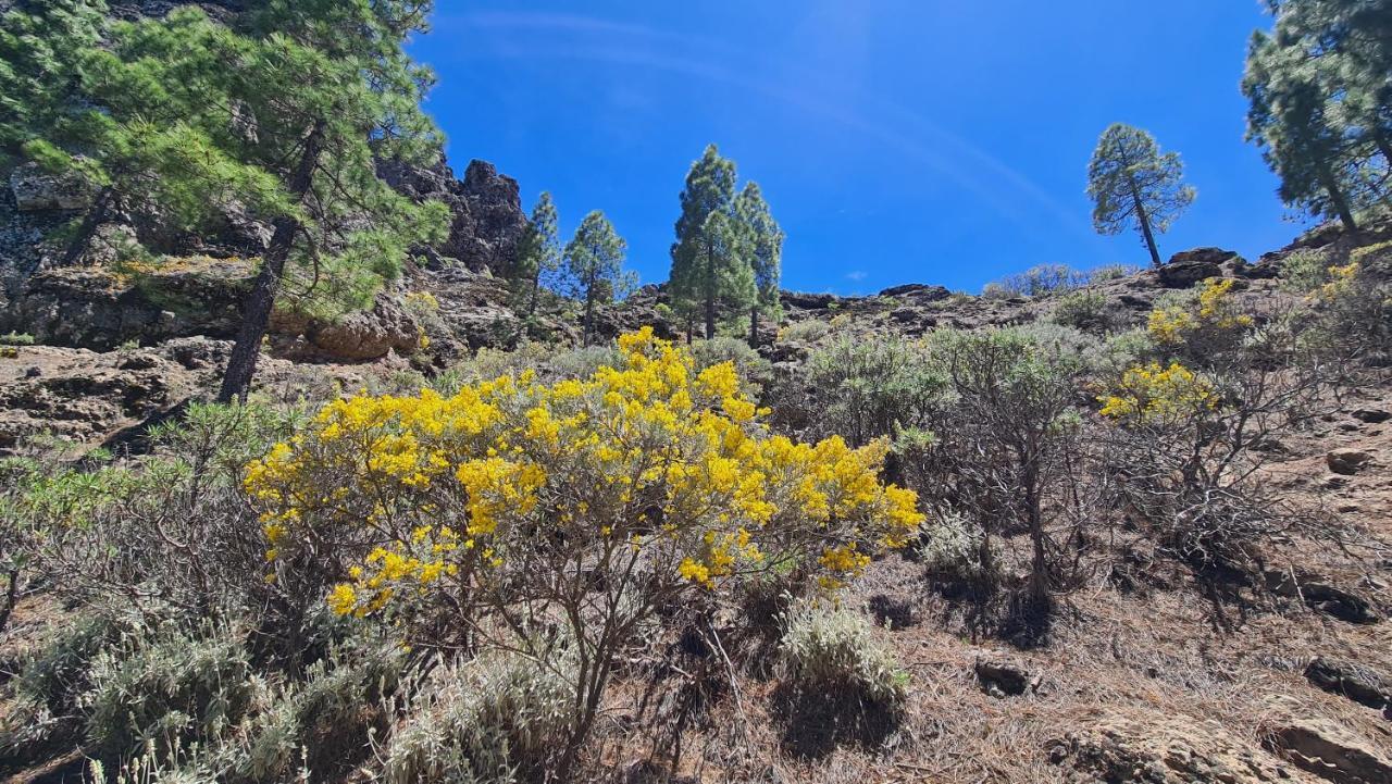 Puerto Rico Top Teide And Amadores View מראה חיצוני תמונה