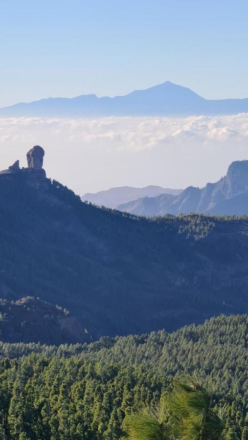 Puerto Rico Top Teide And Amadores View מראה חיצוני תמונה