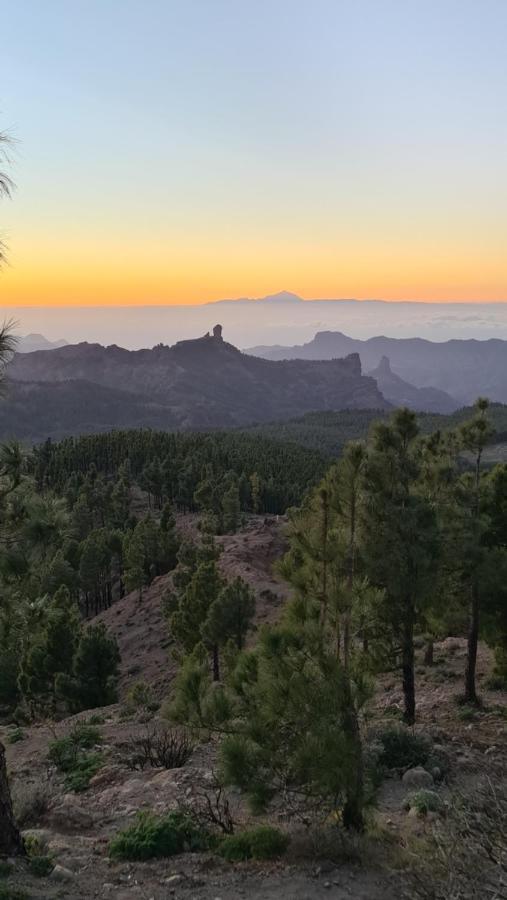 Puerto Rico Top Teide And Amadores View מראה חיצוני תמונה