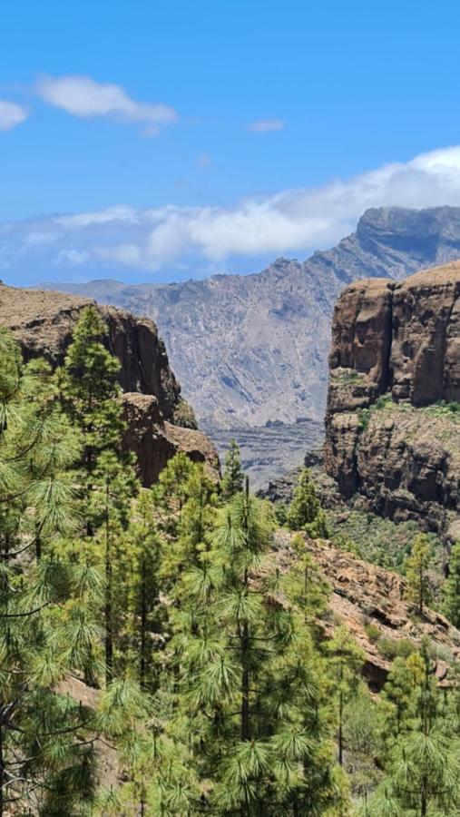Puerto Rico Top Teide And Amadores View מראה חיצוני תמונה